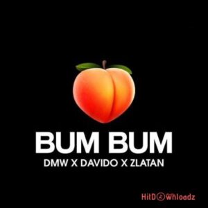 Davido - Bum Bum ft. Zlatan MP3 Download