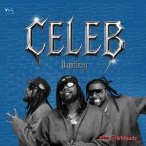 DanDizzy - Celeb MP3 Download