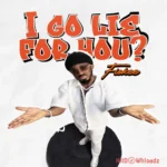 I Go Lie for You?