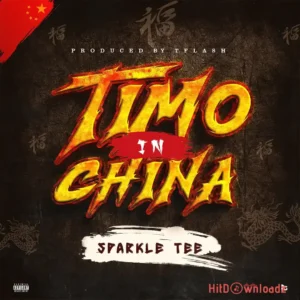 Sparkle Tee – Timo In China MP3 Download
