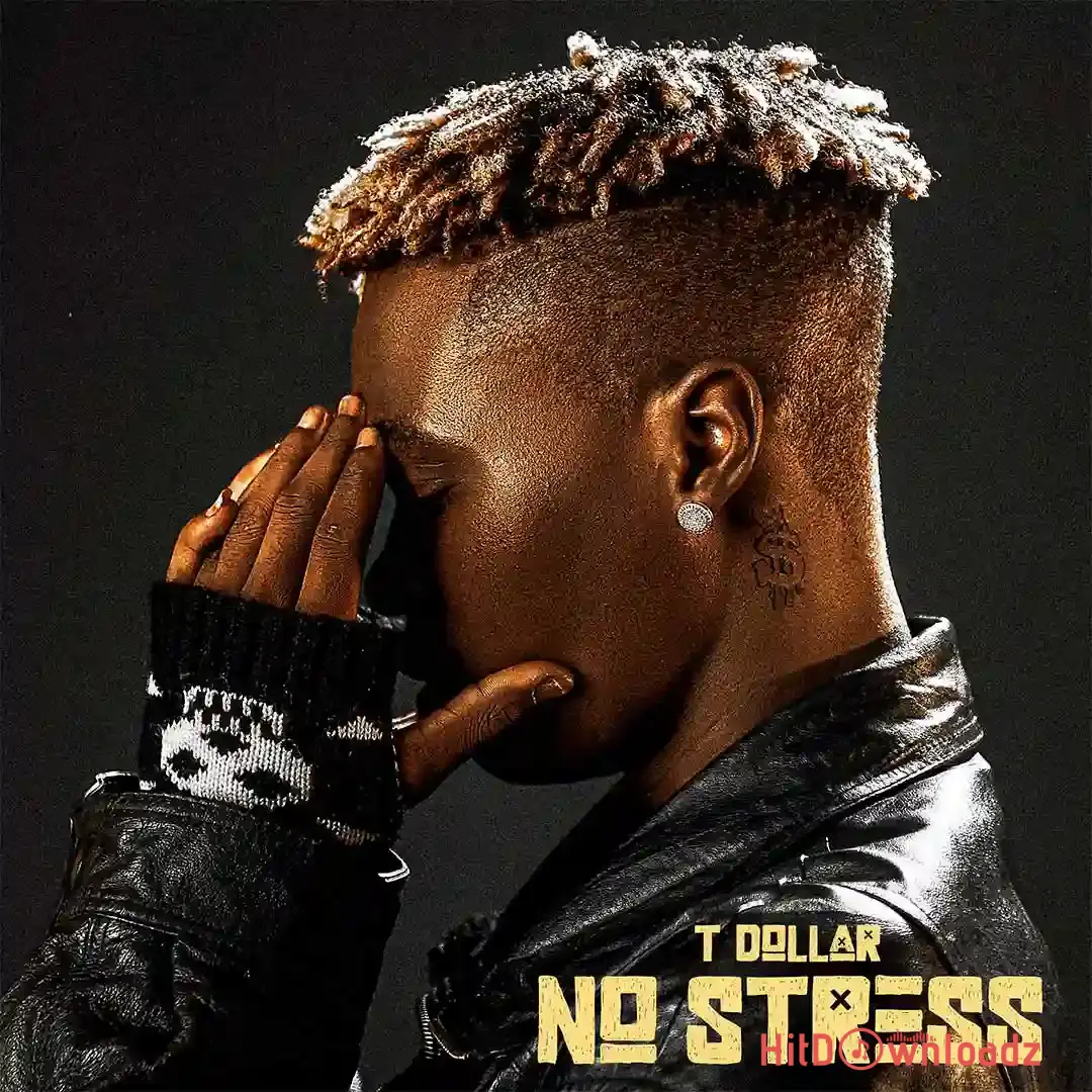 T Dollar – Ginger Cover Art
