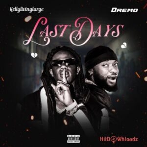 Kellylivinglarge - Last Days ft. Dremo MP3 Download
