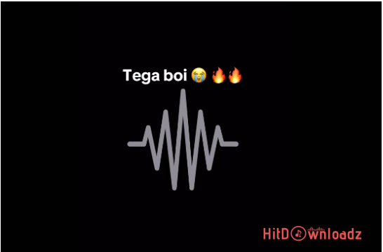 Tega Boi Dc – Grand Style Amapiano Cover Art