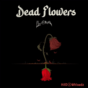 Llona – Dead Flowers MP3 Download