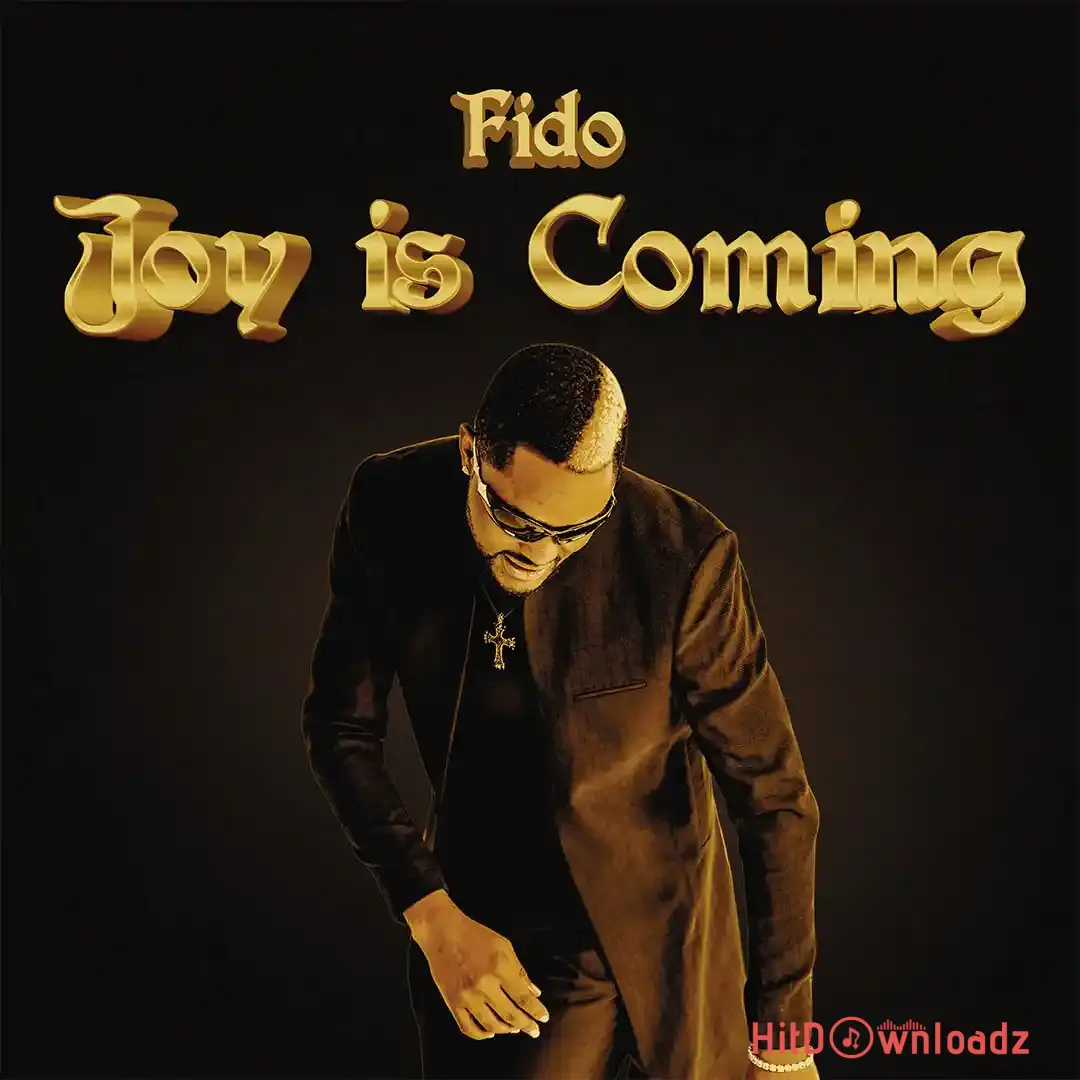 Fido - Joy is coming Cover Art