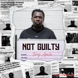 Terry Apala - ECHOES OF PAIN MP3 Download