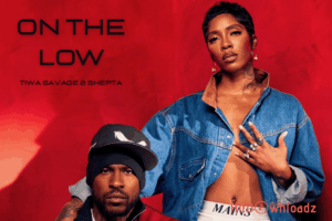 Tiwa Savage - On The Low ft. Skepta MP3 Download