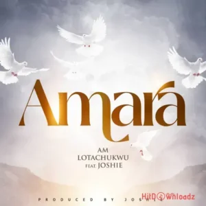 A. M Lotachukwu