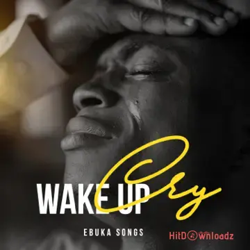 Ebuka Songs - Awake Sleeping Soldier Cover Art