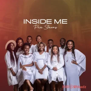 Pure Streams - Inside Me MP3 Download