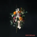 RATTLE (Live)