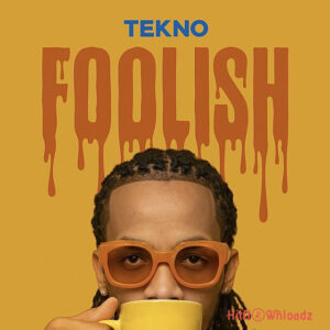 Tekno – Foolish MP3 Download