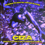 Shona Phantsi / On Da Floor