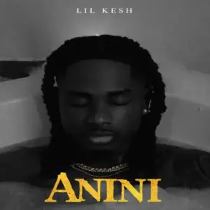 Lil Kesh - Anini (Thief) MP3 Download