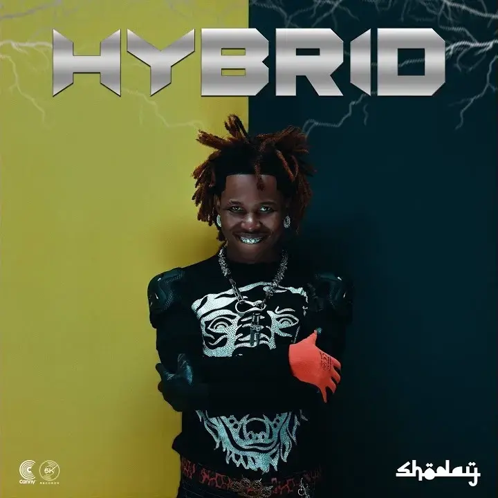 Shoday - Hybrid Album Cover Art