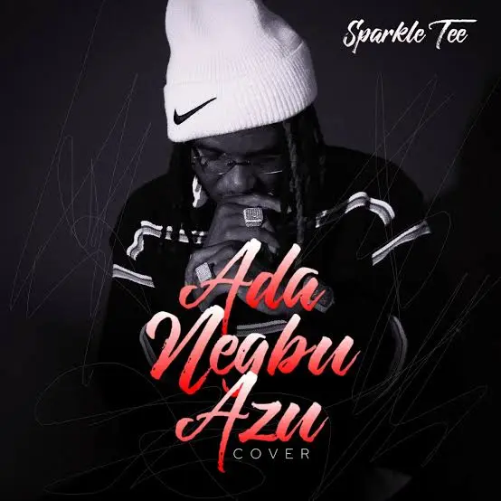 Sparkle Tee - Ada Negbu Azu Cover Art