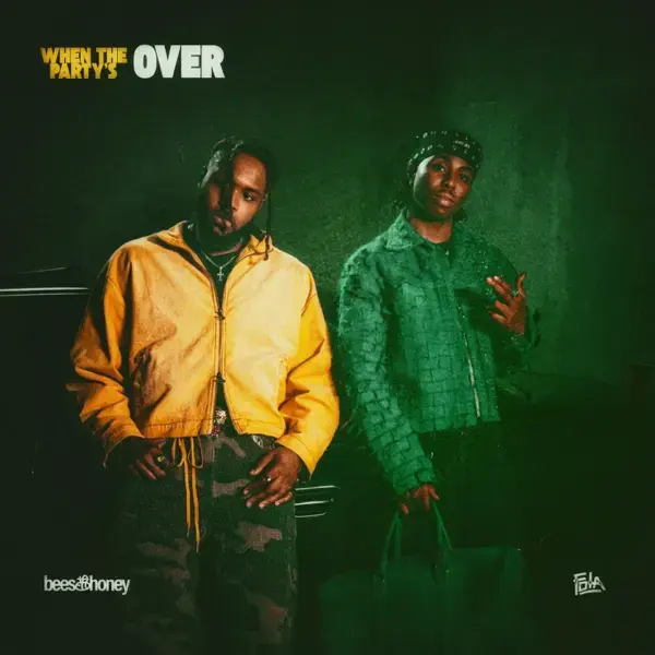 bees & honey, Fola - when the party's over Cover Art