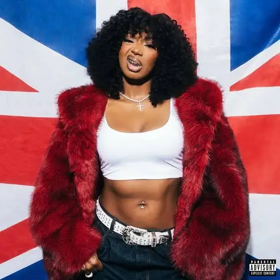 Ms Banks - IDK ft. Zinoleesky Cover Art