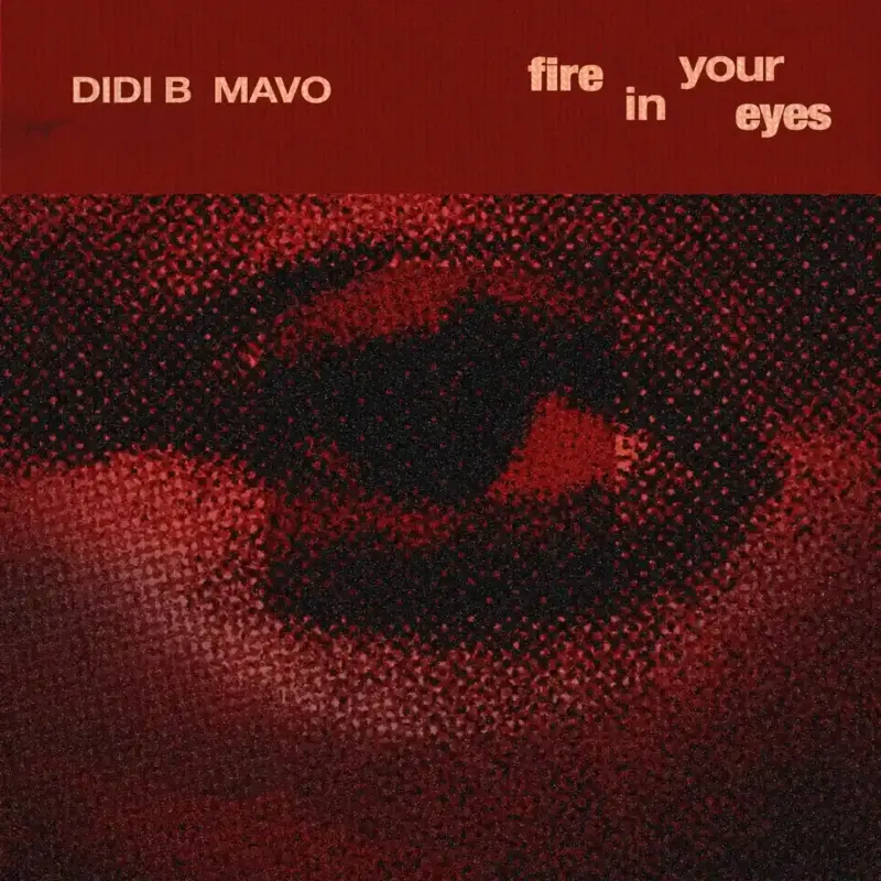 Didi B - Fire in your Eyes ft. Mavo Cover Art